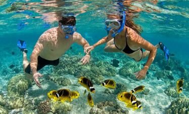 Safari Blue Adventures Trip